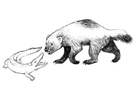 Вера Чаплина Росомаха