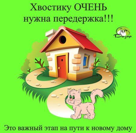 Ищем передержку или дом