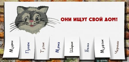 Возьми кота