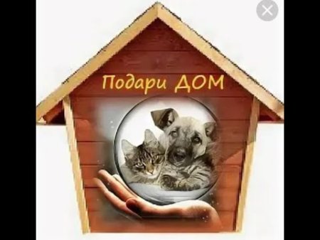 Нужен дом реклама