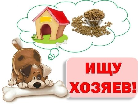 Надпись хочу домой