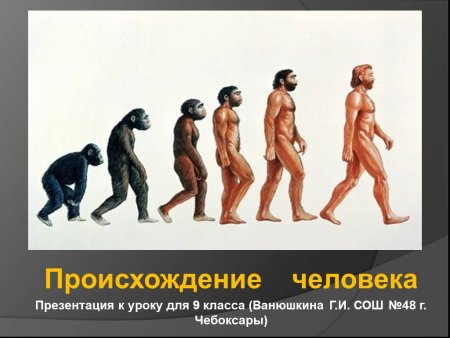 Теория происхождение человека от животного