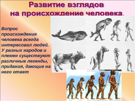 Происхождение человека