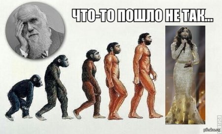 Хомо сапиенс Эволюция