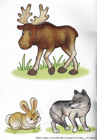 Лесные животные для малышей