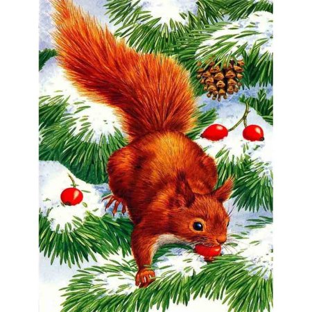 Белочка рисунок