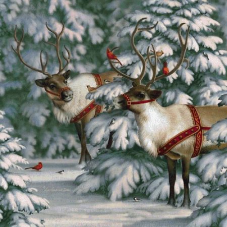 Элизабет Гудрик-Диллон (Elizabeth Goodrick-Dillon)