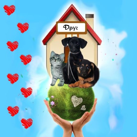 Защита животных