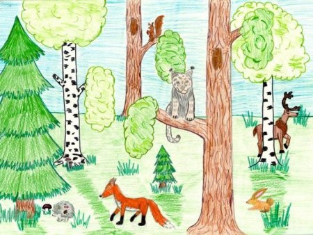 Рисунок леса для детей