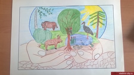 Рисунки природы