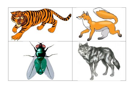 Тундра рисунок карандашом 4 класс