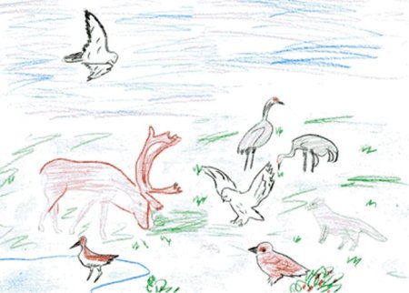 Рисунки животных красной книги