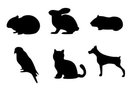 Тени животных