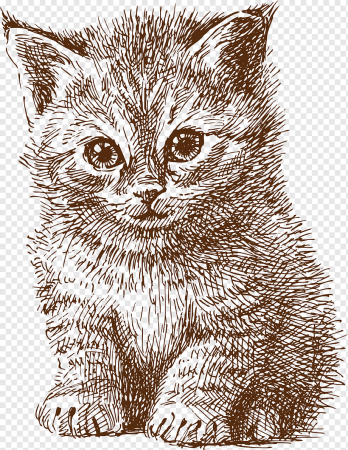 Котенок в графике