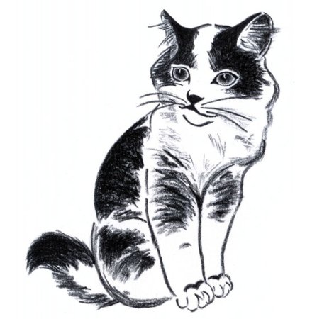 Котики Графика