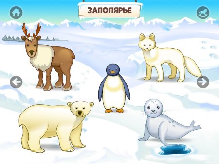 Животные севера для дошкольников