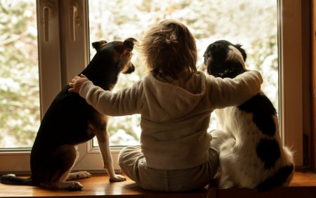 Человек с кошкой и собакой