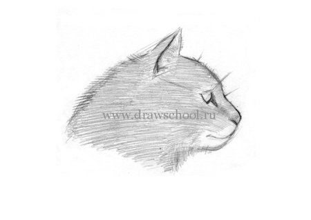 Рисунки штрихами легкие