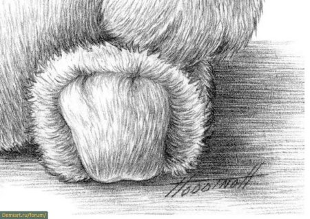 Штриховка животных карандашом