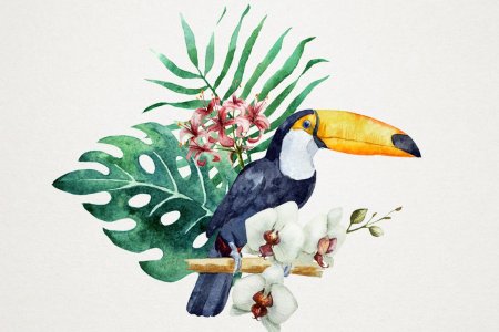 Экзотические птицы акварель