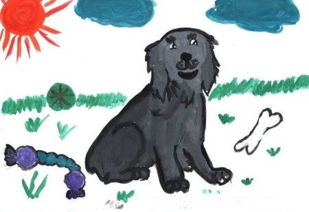 Рисунки бездомных животных