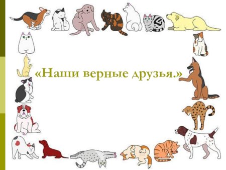 Мультяшные дети с животными