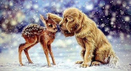 Нежности у животных зима