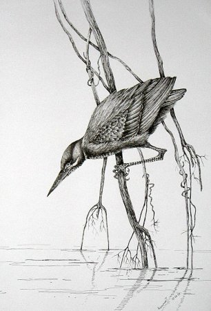 Рисунки тушью