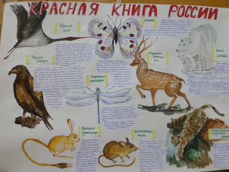 Красная книга глазами детей
