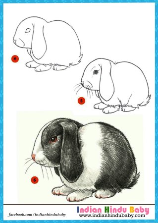 Поэтапное рисование кролика для детей