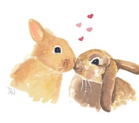 Зайки любовь