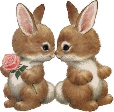 Любимому зайке