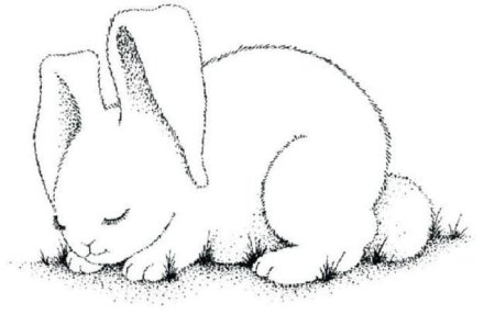 Зайчик спит раскраска