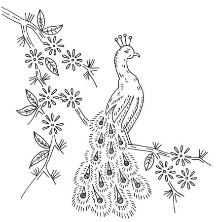 Трафарет павлина