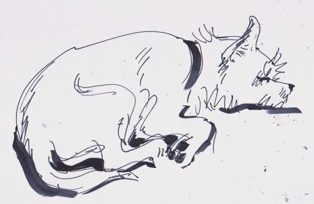 Быстрые зарисовки животных