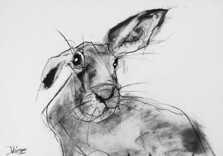 Графические зарисовки животных