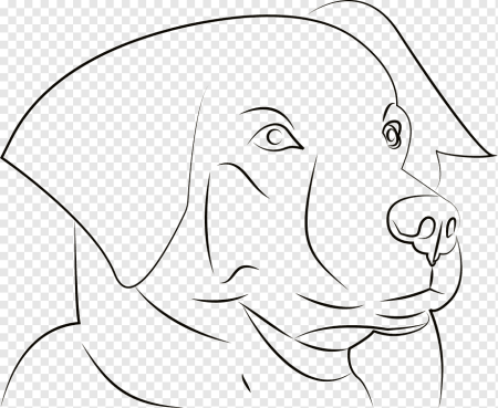 Мордочка собаки контур