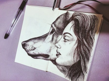 Рисунки для скетчбука животные