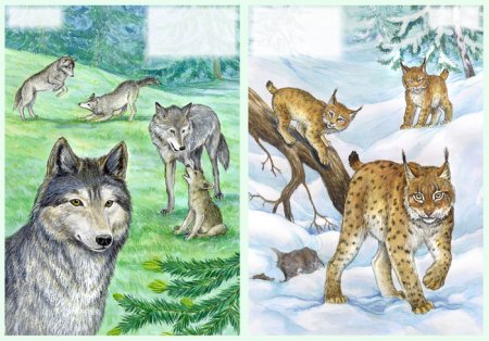 Детские рисунки рыси