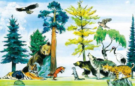 Тайга иллюстрация