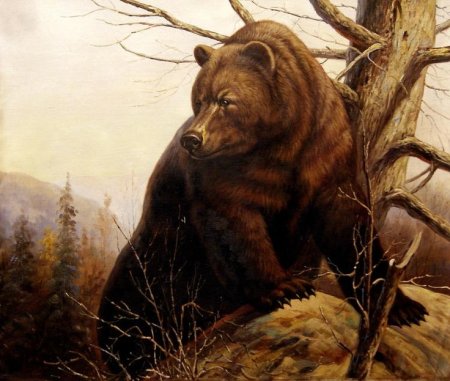 Татьяна Данчурова хозяин тайги