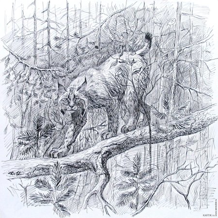 Рисование животные в лесу