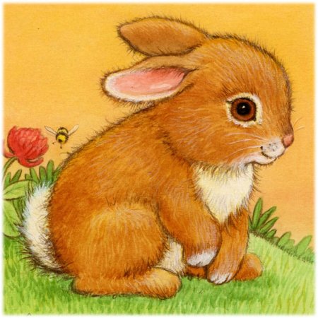 Рисунки животных для детей цветные