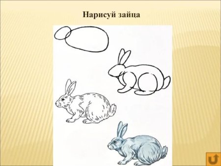 Кролик раскраска для детей
