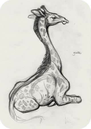 Ватагин Жираф