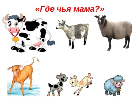 Изображения домашних животных для детей