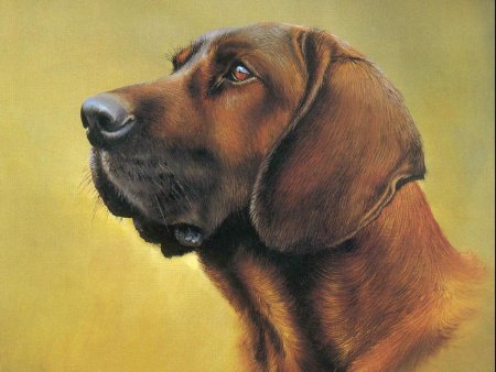 Портрет питомца