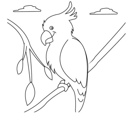 Австралия раскраска для детей