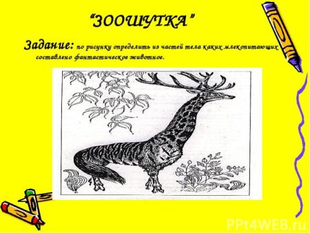 Нарисовать выдуманное животное