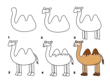 Поэтапное рисование верблюда